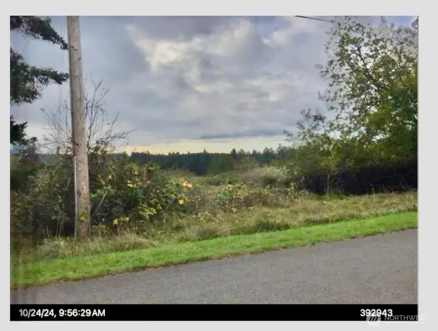 0 La Cana Street #40, Coupeville, WA 98239 - Image #3