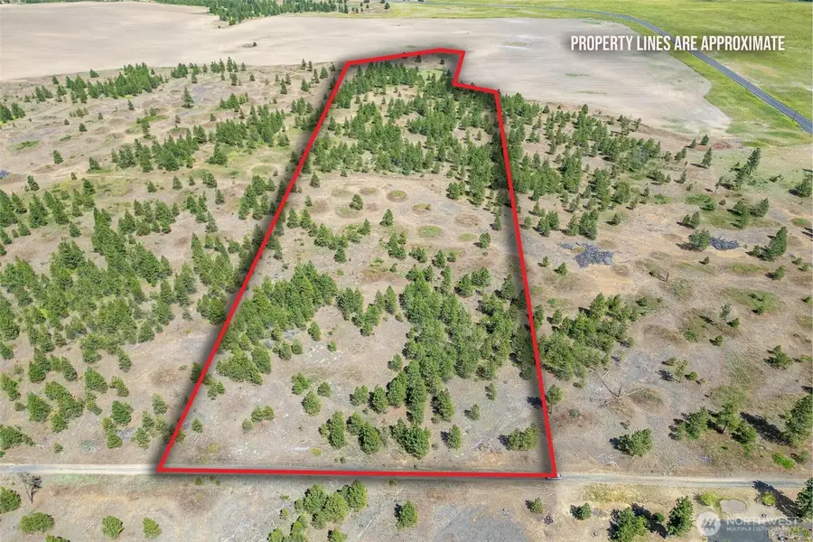 35350 Prairie Lane N #Lot 7, Creston, WA 99112 - Image #2