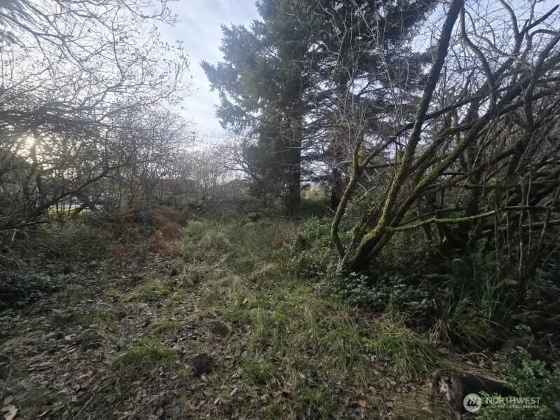 570 NE Puffin Avenue, Ocean Shores, WA 98569 - #2