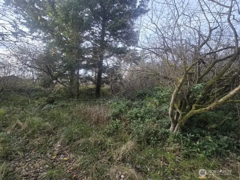 570 NE Puffin Avenue, Ocean Shores, WA 98569 - #3