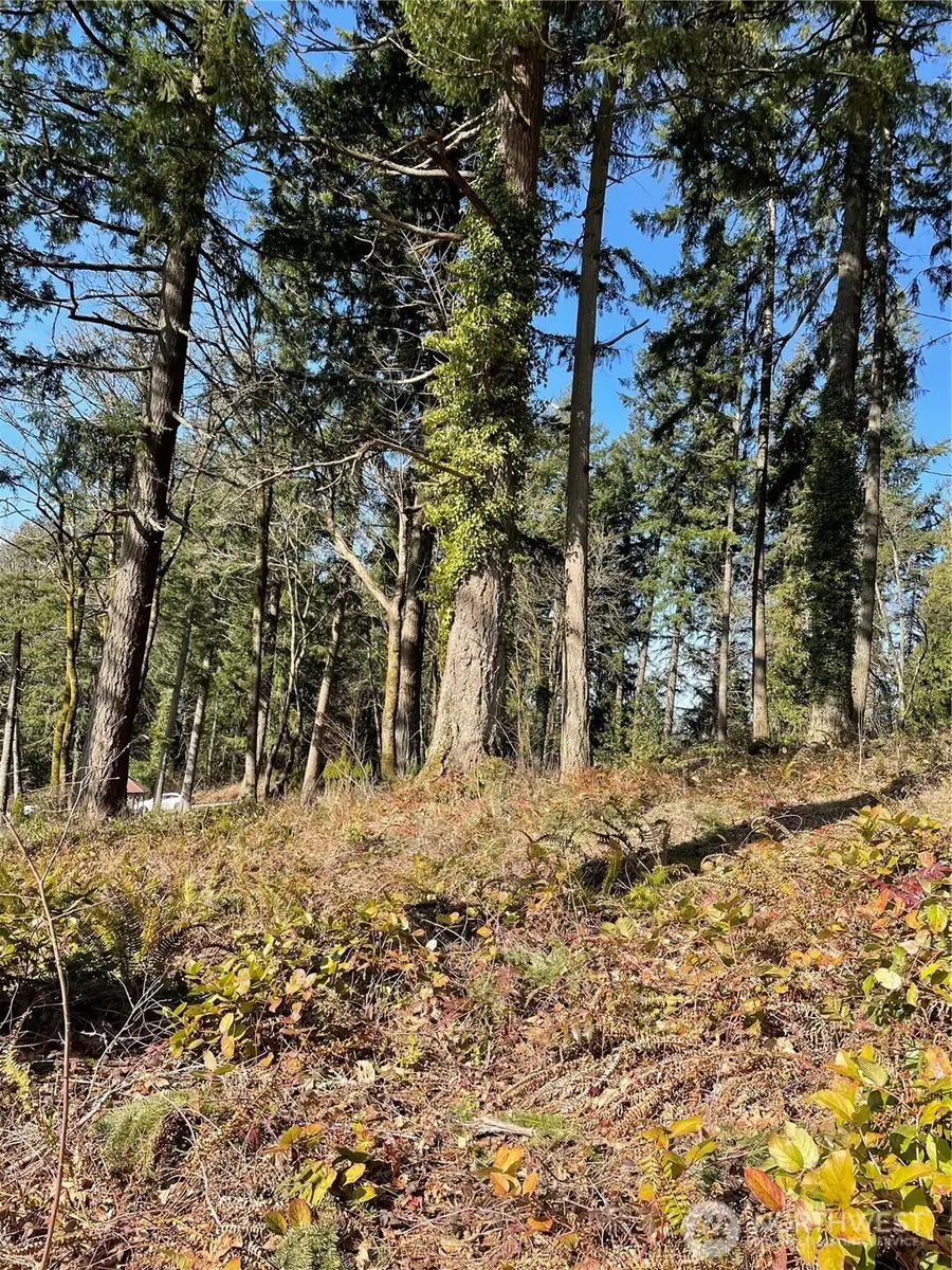 425 SE Hilltop Drive, Chehalis, WA 98532 - Image #2