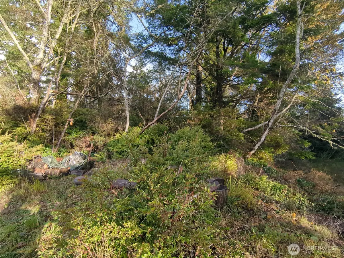 0 247th #Lots 9-12, Ocean Park, WA 98640 - Image #1
