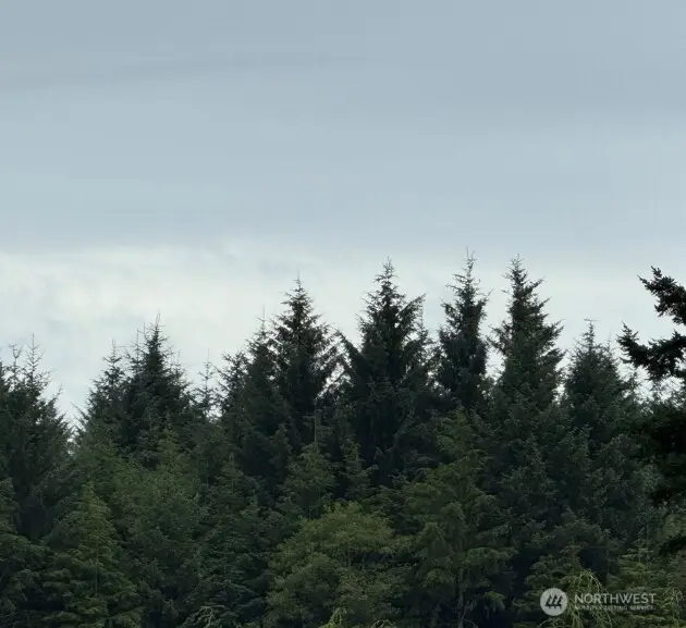 0 Roosevelt Beach #Lots 1-12, 1-9, 13-17, 18, 19, Pacific Beach, WA 98571 - Image #2