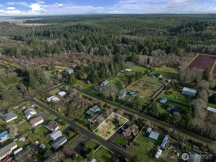 0 Second Avenue, Grayland, WA 98547 - Image #2