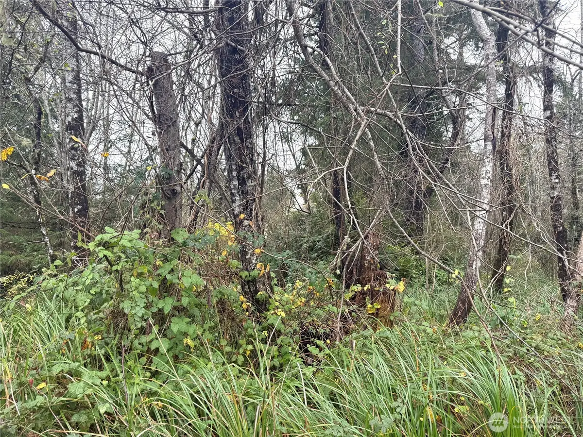 294 S Lane #1 and 2, Ocean Park, WA 98640 - Image #1