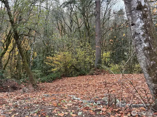 0 Maplewood Drive, Longview, WA 98632