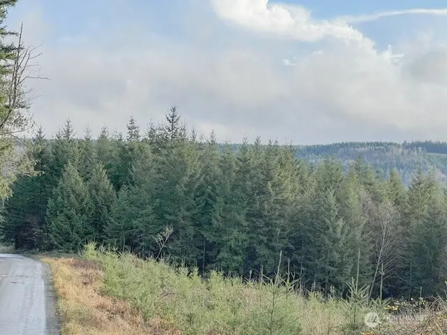 1 Snow Creek Road, Quilcene, WA 98376 - Image #3