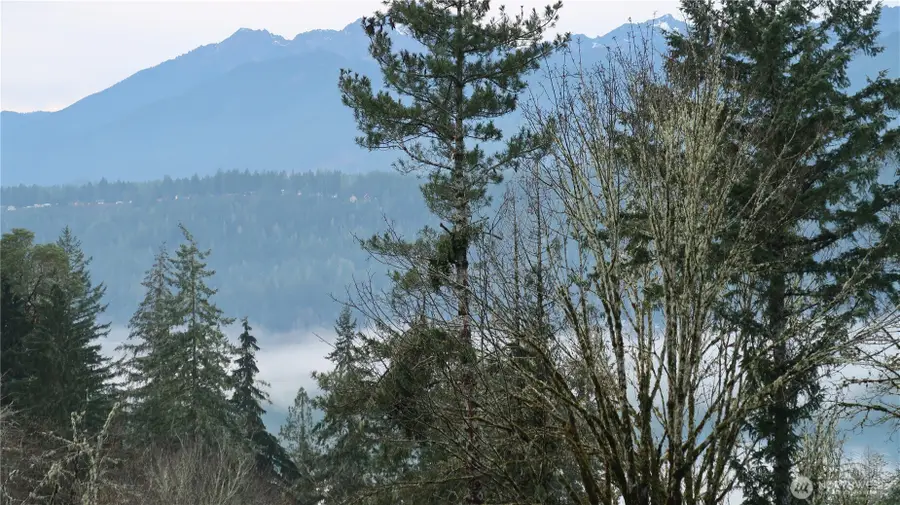 1111 Capstan Rock Rd Road #20, Tahuya, WA 98588 - Image #2