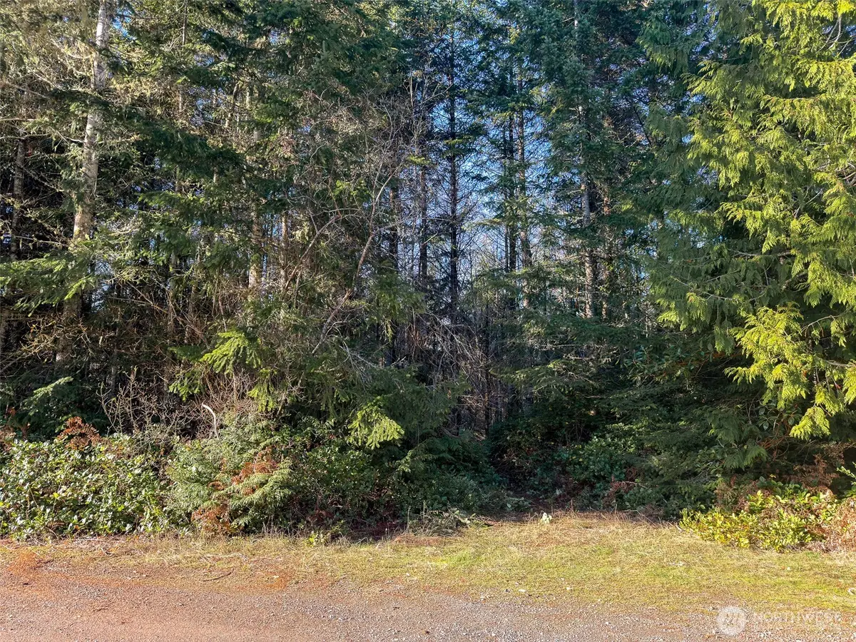 999 Old Coyle Road, Quilcene, WA 98376 - Image #1