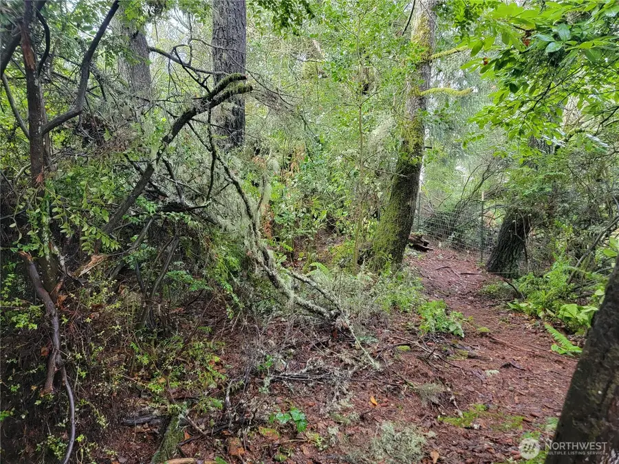 1543 Dicks Lane #Lot 3, Westport, WA 98595 - Image #2