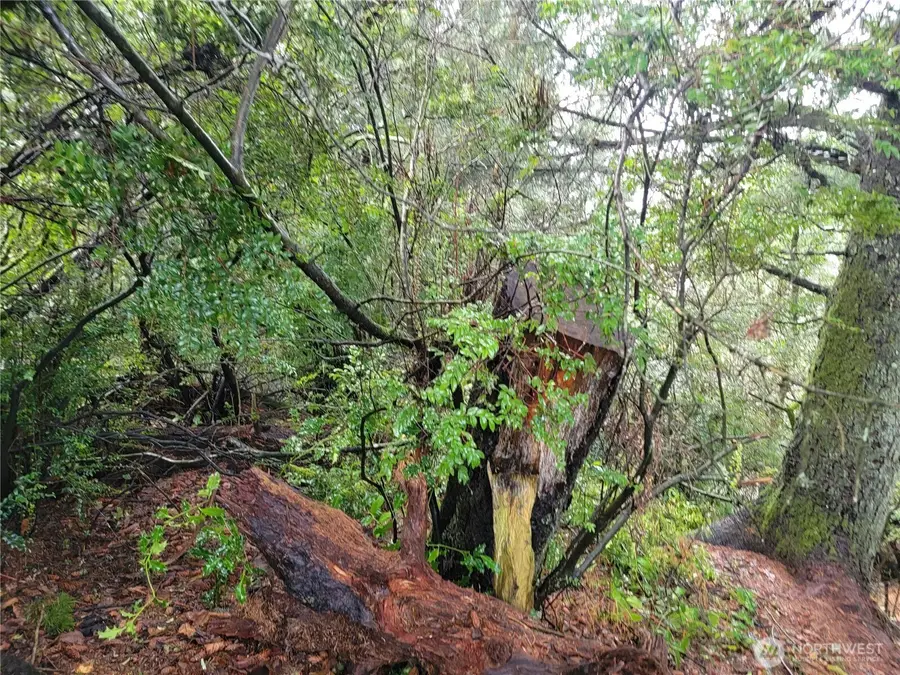 1543 Dicks Lane #Lot 3, Westport, WA 98595 - Image #3