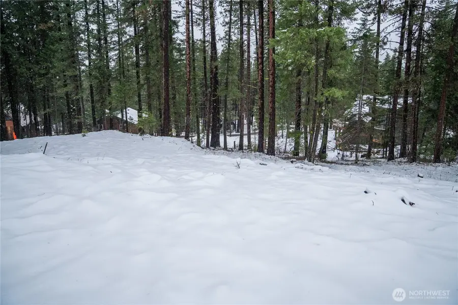 22124 Appaloosa Lane #24, Leavenworth, WA 98826 - Image #2