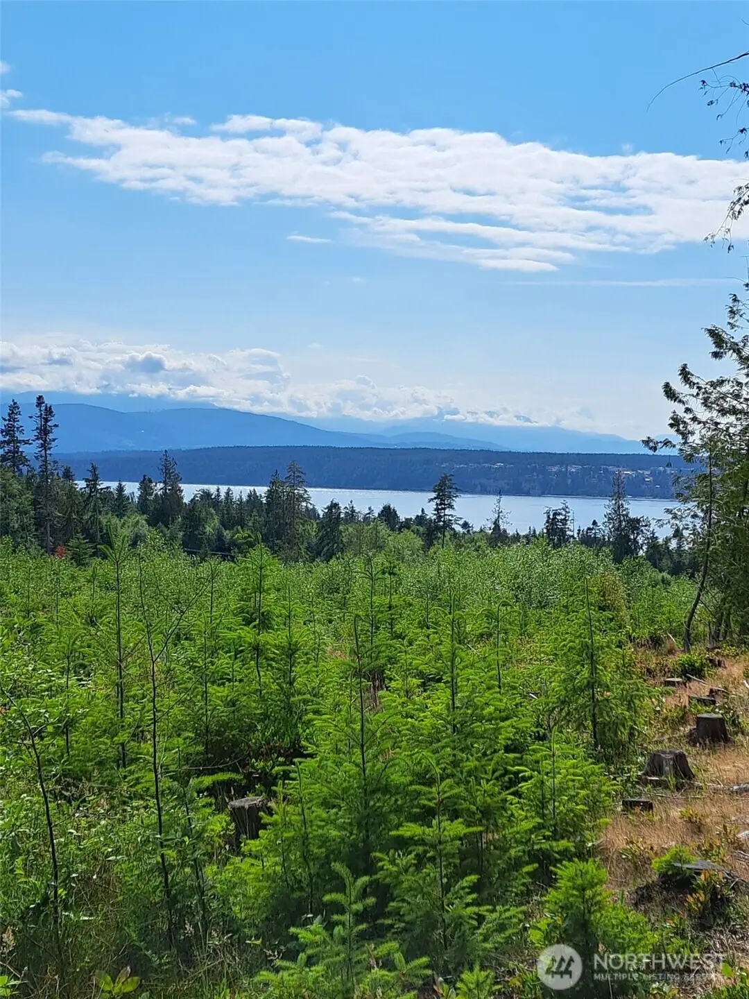 9999 Protection Ridge Road, Port Townsend, WA 98368 - #1