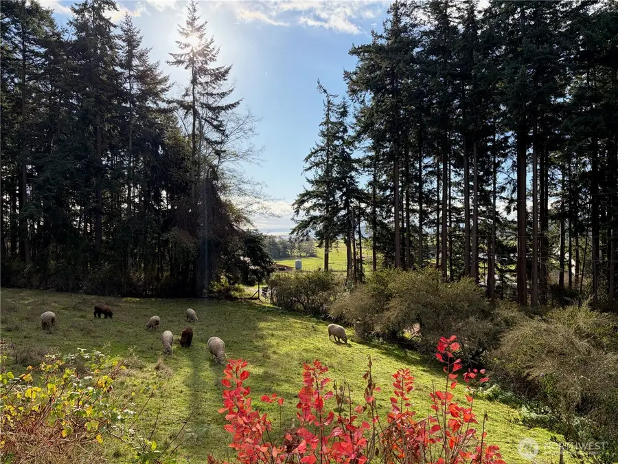 651 Long Ears Way, Coupeville, WA 98239 - Image #2