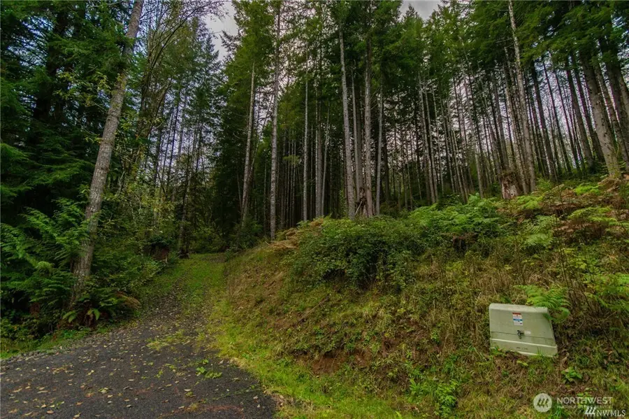 1 Lot Bison Run, Longview, WA 98632 - #3