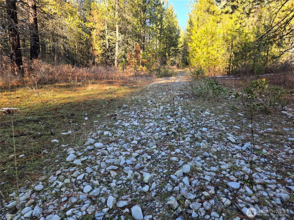 0 W Jump Off Joe Road, Valley, WA 99181 - #1