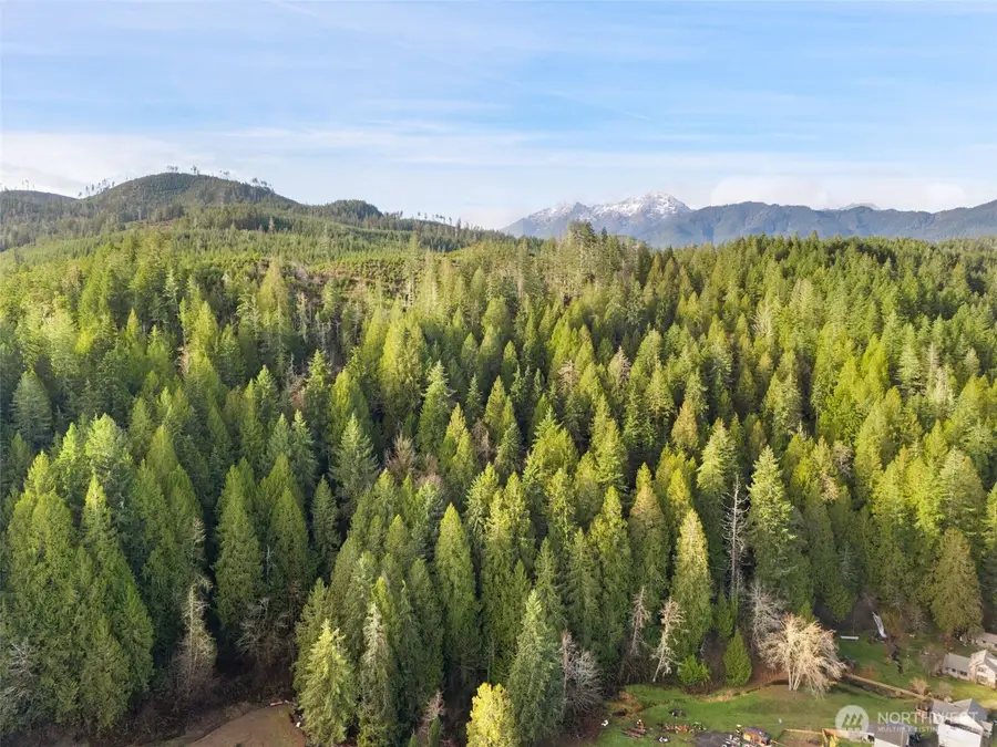 1 N Lilliwaup Street, Lilliwaup, WA 98555 - Image #2