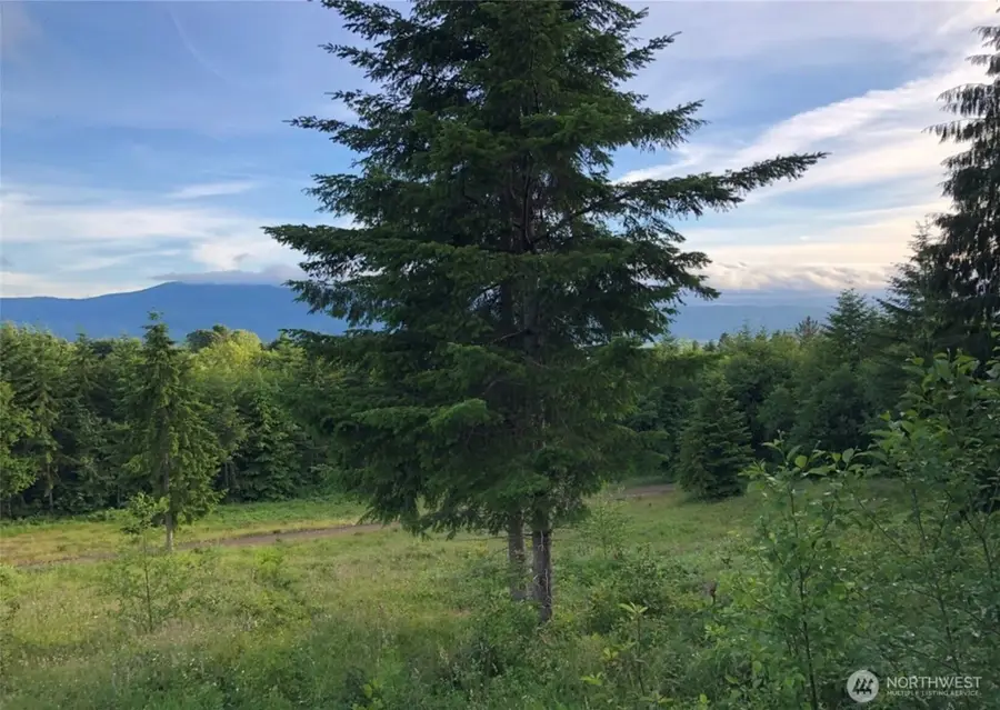 24 Kristy Kay Lane, Cathlamet, WA 98612 - Image #2