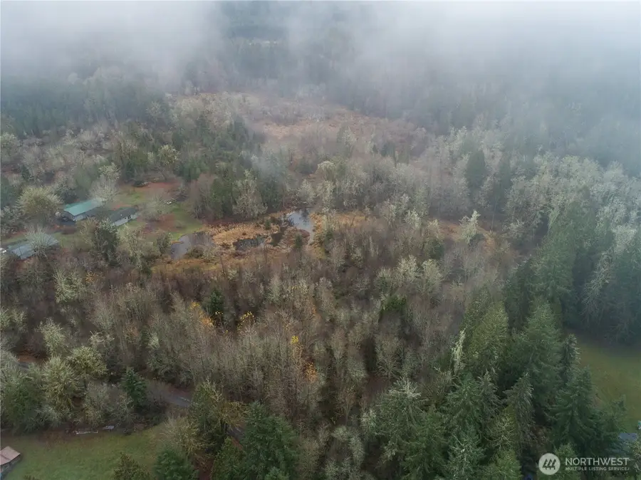 12 Cougar Lane, Toledo, WA 98591 - #3