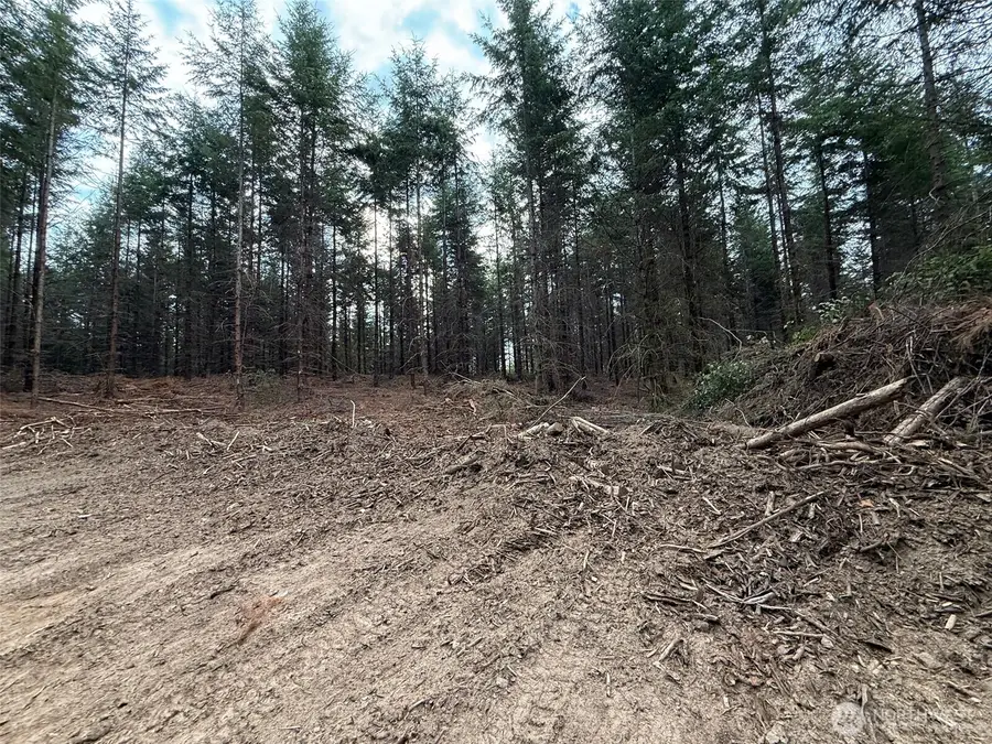 216 Zenkner Valley Road Sw, Centralia, WA 98531 - Image #3