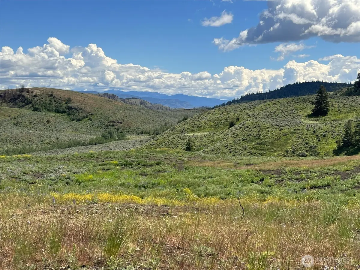 0 Ellemeham Mountain Road, Oroville, WA 98844 - #1