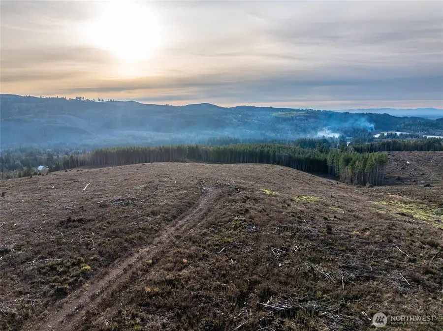 50 Winston Creek Road, Mossyrock, WA 98564 - Image #3