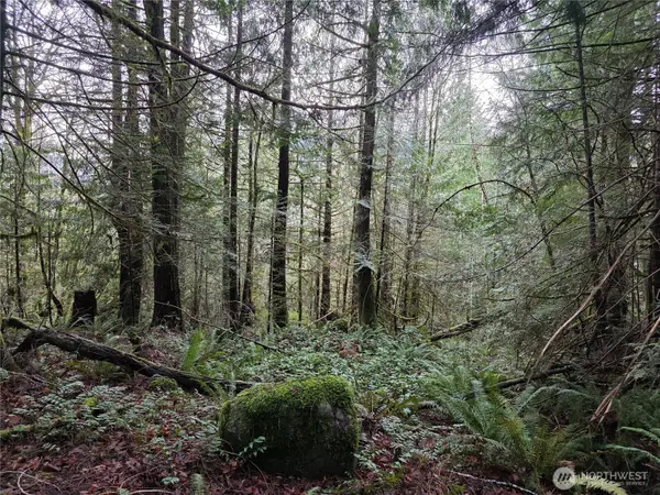 0 Dragonfly Lane, Brinnon, WA 98320