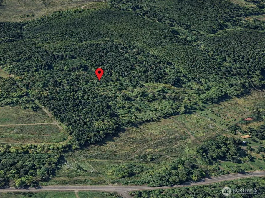 188 S Bank Road, Elma, WA 98541 - #2