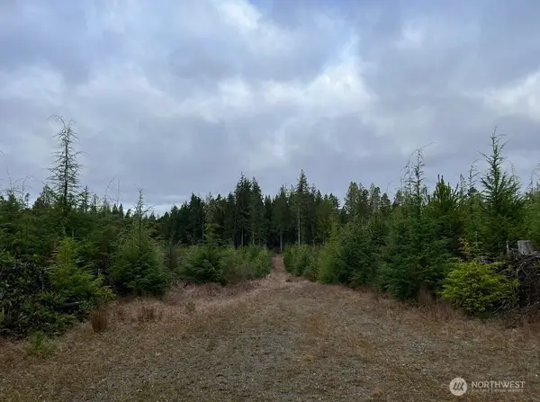 0 0, Moclips, WA 98562