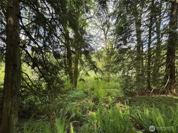 16113 NE 124th Street, Redmond, WA 98052