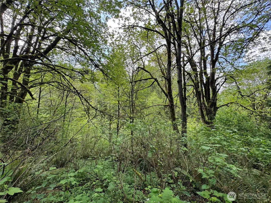 16113 NE 124th Street, Redmond, WA 98052 - Image #2