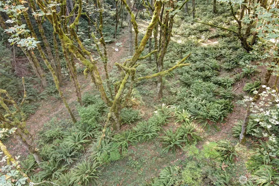 37 SE 212th Way #2,3,4, Sammamish, WA 98075 - Image #2