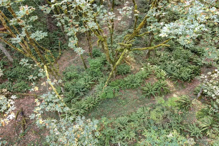 37 SE 212th Way #2,3,4, Sammamish, WA 98075 - Image #3