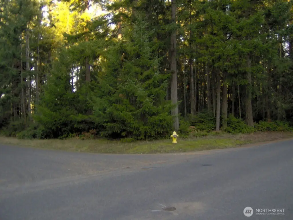 10211 Tahoma Drive, Anderson Island, WA 98303 - Image #1