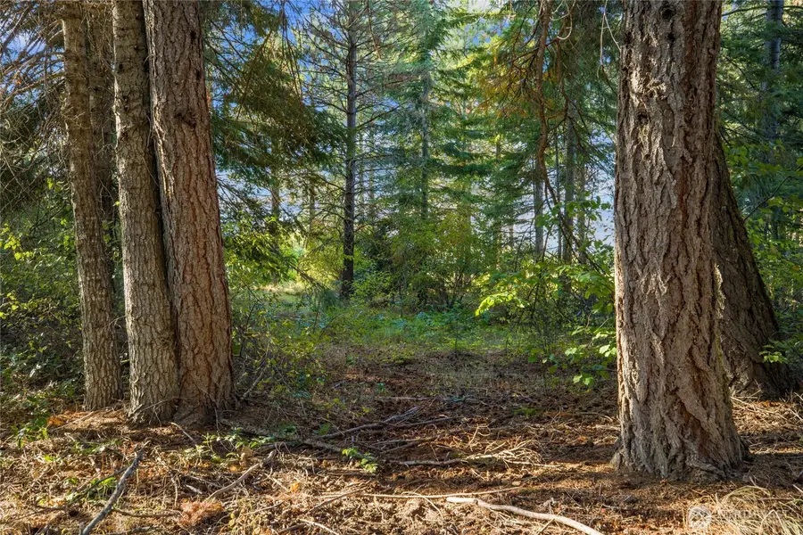 2040 Ruby King Loop #7-2, Cle Elum, WA 98922 - Image #3