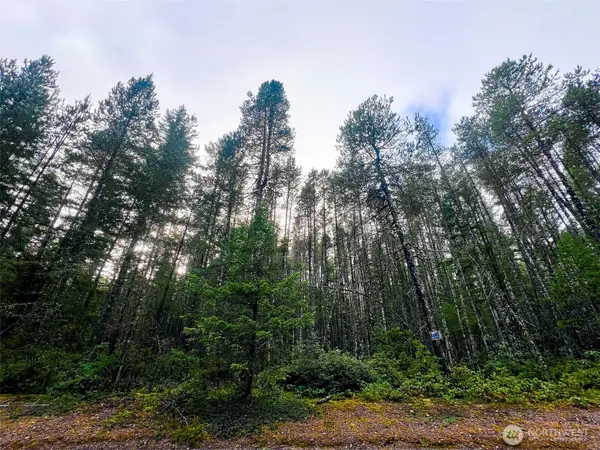 0 NE Sides Way, Belfair, WA 98528