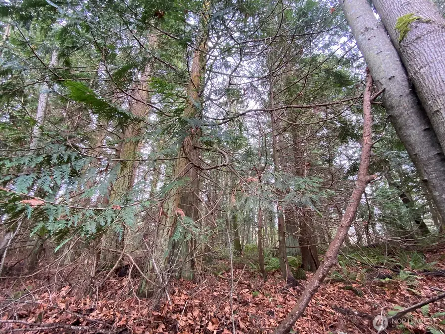 999 Oak Bay Road #5-11(ls r/w&road), Port Hadlock, WA 98339 - Image #3