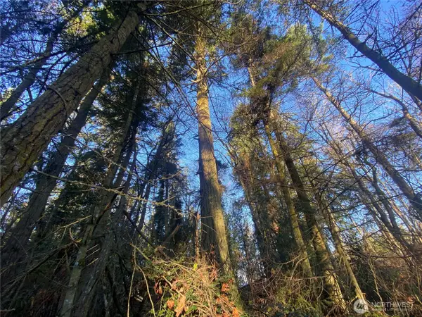 999 White Street #1&2, Port Hadlock, WA 98339