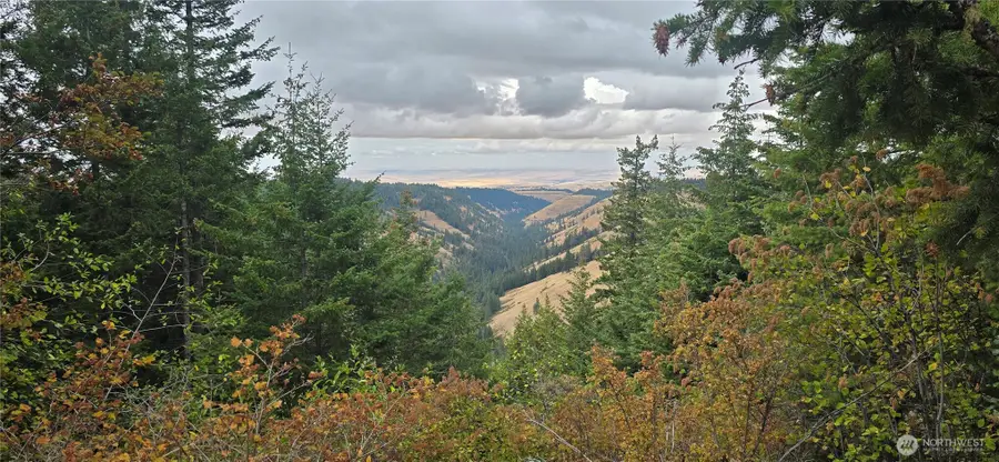 30 Acres Off Biscuit Ridge, Waitsburg, WA 99361 - Image #2