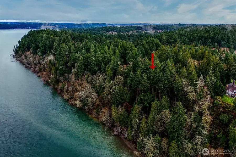 14018 96th Street Ct #1, Anderson Island, WA 98303 - Image #3