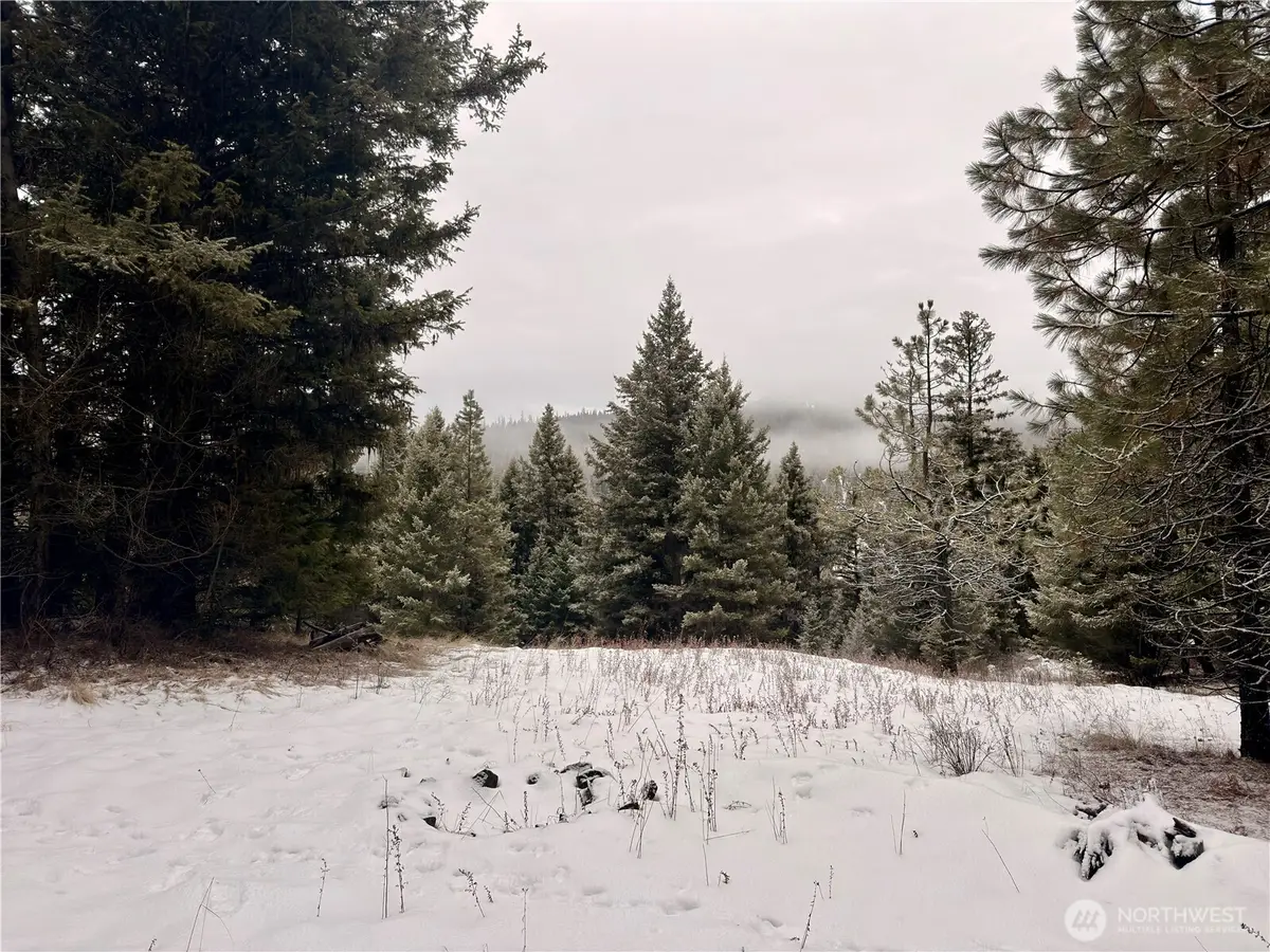 25 Miner's Ridge Road, Oroville, WA 98844 - Image #1