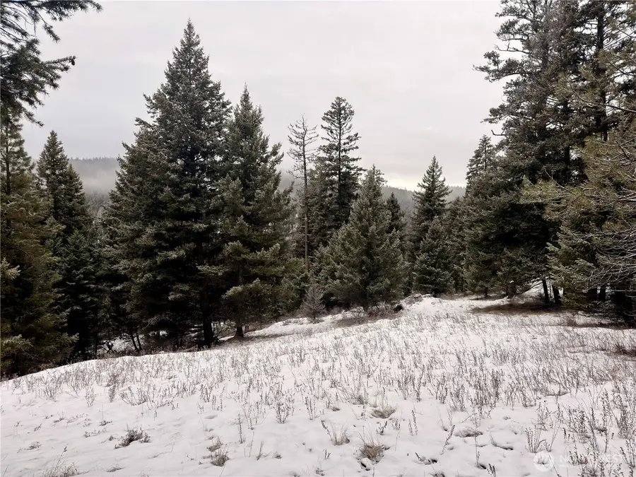 25 Miner's Ridge Road, Oroville, WA 98844 - Image #3