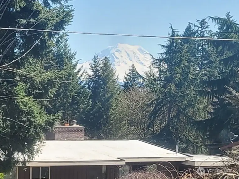 10102 75th Avenue E, Puyallup, WA 98373 - Image #2