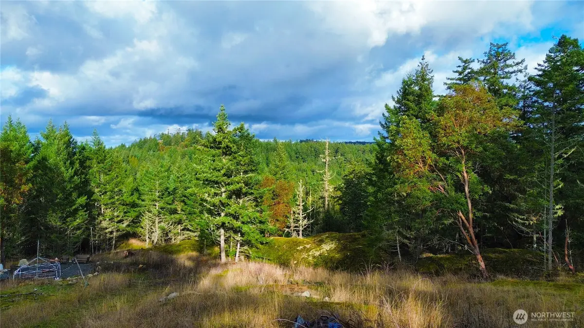 705 Mt Dallas Road, Friday Harbor, WA 98250 - Image #1