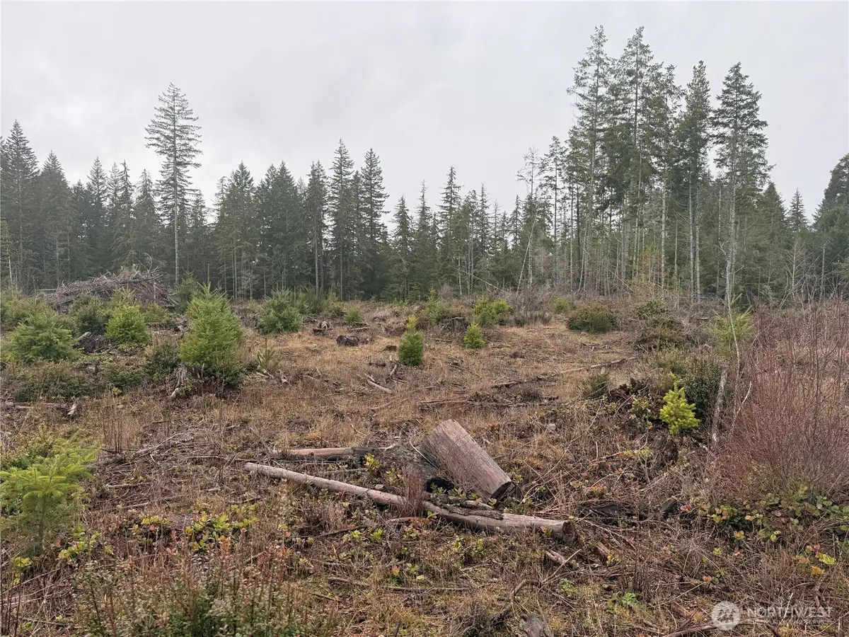 10 E Shetland Road, Shelton, WA 98584 - Image #1