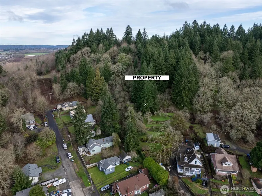 0 NE Franklin Avenue, Chehalis, WA 98532 - Image #3