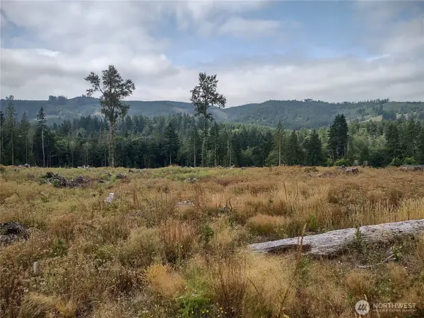 0 Summit Lake Road, Olympia, WA 98502