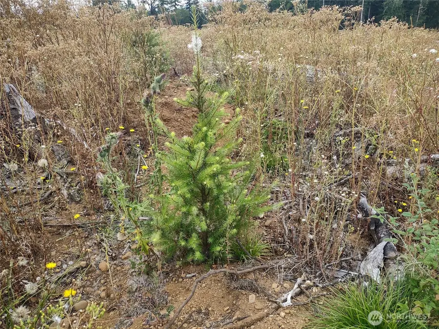 0 Summit Lake Road, Olympia, WA 98502 - Image #2