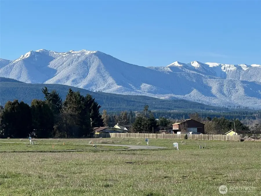 9999 Lange Ln Lot 15 #Lot 15, Sequim, WA 98382 - Image #3
