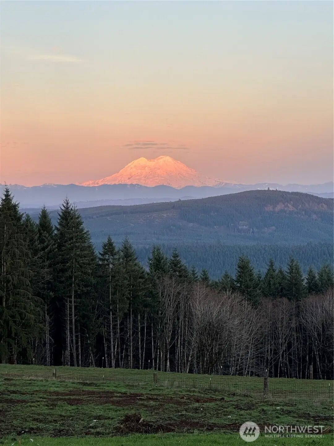 204 Suncrest Drive #4, Castle Rock, WA 98611 - #1